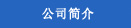公司简介