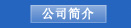 公司简介
